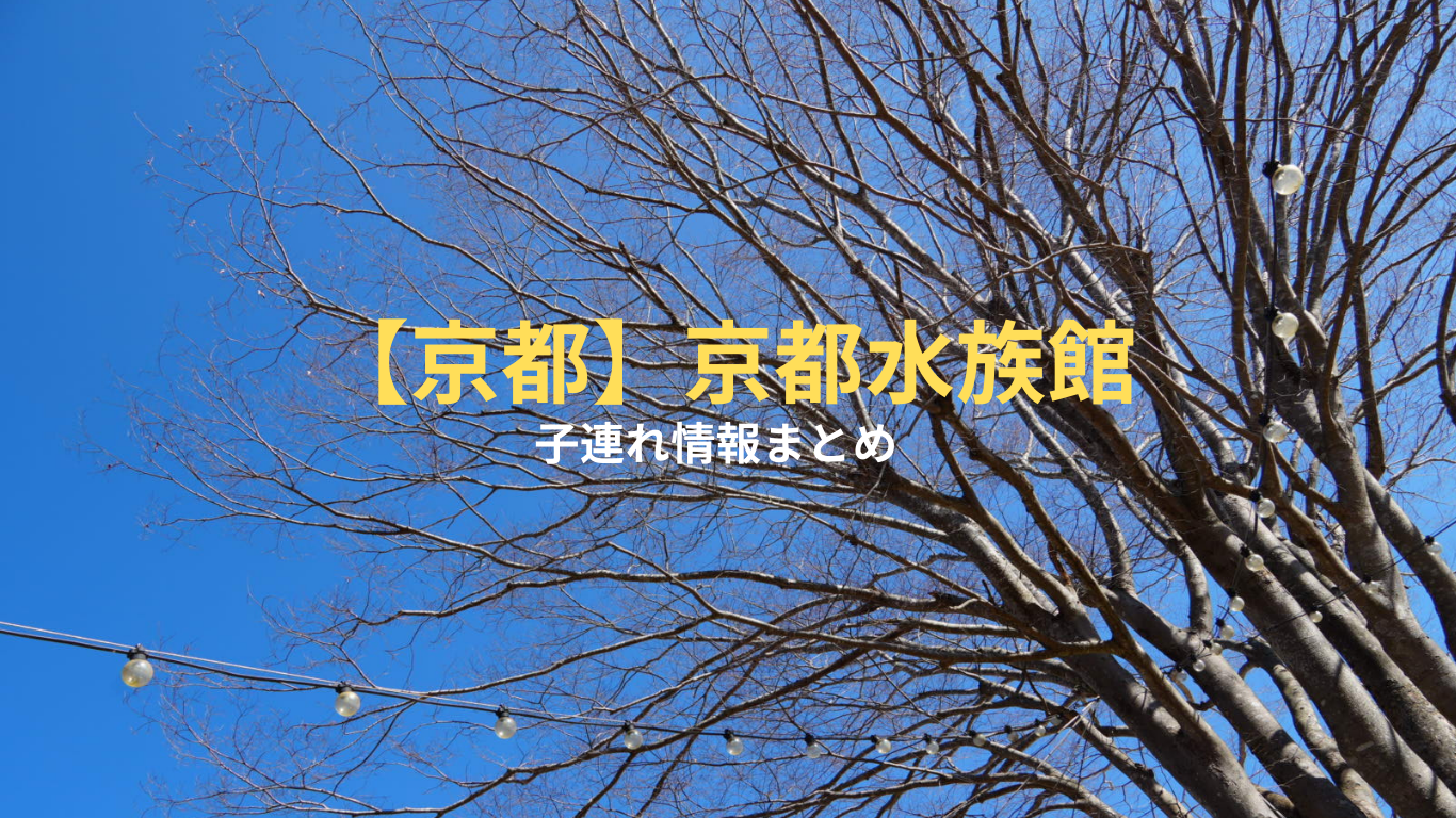 【赤ちゃん連れOK？】京都水族館の楽しみ方と注意点｜ベビーカー・持ち物対策まとめ