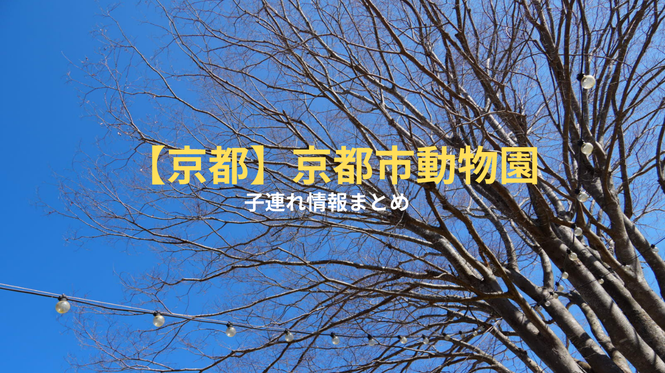 【子連れスポット】京都市動物園｜0歳からでも楽しめる見どころ＆設備まとめ